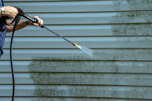Best Concrete Pressure Washing  in Monticello, IL