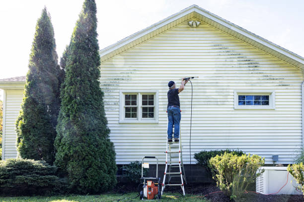 Best Residential Pressure Washing Services  in Monticello, IL