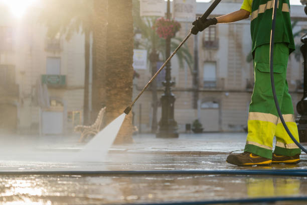 Best Best Pressure Washing Companies  in Monticello, IL